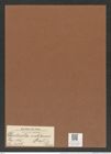 Denticella mobiliensis (Bail.) Grun. (de-Toni-Nr.: Genus 125, Species 3517) Zeichnungen Sammlung Grunow Mappe 03700 (Herbarium_W_Grunow_drawings_Folder_03700)